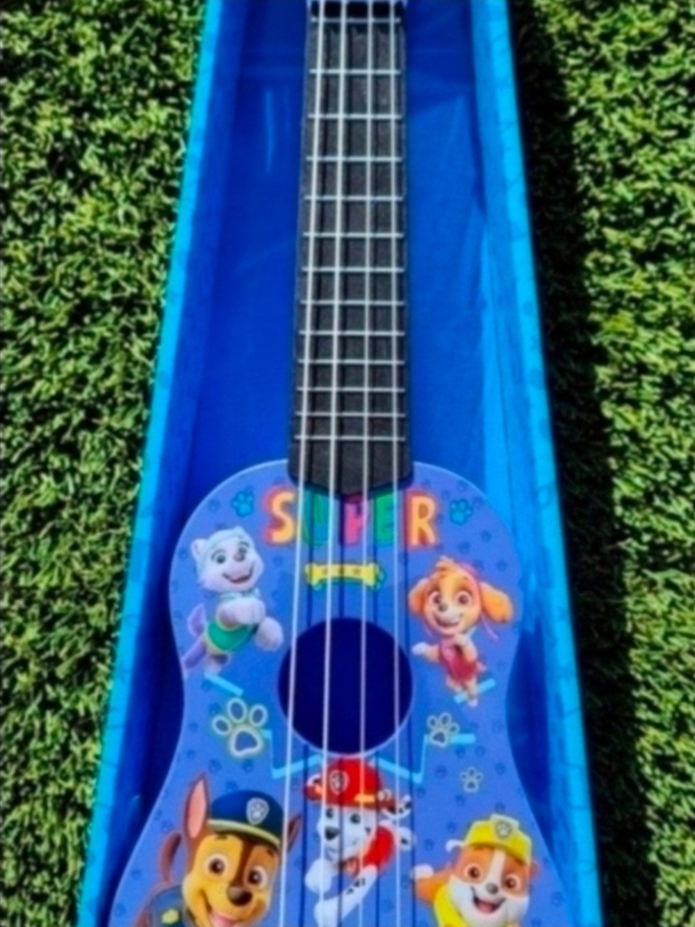 Blue Kids Ukulele Guitar with Paw Patrol Characters